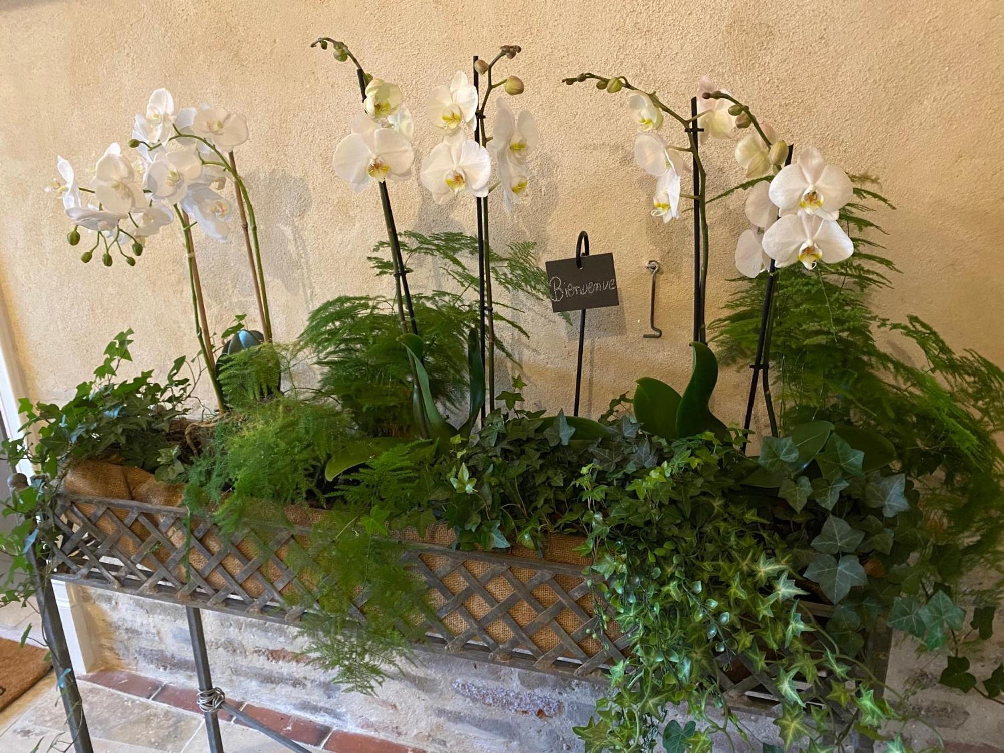 Les Hortensias Canly Exterior foto